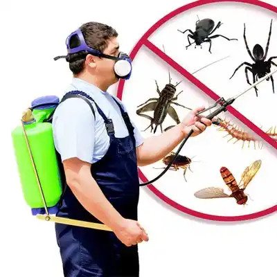 pest control Arnold Line
